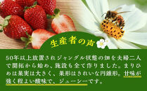 まりひめ&nbsp;6パック&nbsp;［2025年3月発送分］