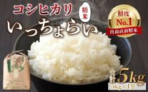 【令和6年産新米】【一等米】いっちょらい 精米 5kg ／ 福井県産 ブランド米 ご飯 白米 お米 コメ 新鮮 大賞 受賞 新米 福井県あわら産