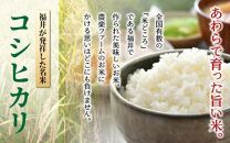 【令和6年産新米】【一等米】いっちょらい 精米 5kg ／ 福井県産 ブランド米 ご飯 白米 お米 コメ 新鮮 大賞 受賞 新米 福井県あわら産