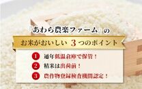 【令和6年産新米】【一等米】いっちょらい 精米 5kg ／ 福井県産 ブランド米 ご飯 白米 お米 コメ 新鮮 大賞 受賞 新米 福井県あわら産