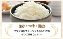 【令和6年産新米】【一等米】いっちょらい 精米 5kg ／ 福井県産 ブランド米 ご飯 白米 お米 コメ 新鮮 大賞 受賞 新米 福井県あわら産