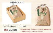 【令和6年産新米】【一等米】いっちょらい 精米 5kg ／ 福井県産 ブランド米 ご飯 白米 お米 コメ 新鮮 大賞 受賞 新米 福井県あわら産