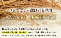 【令和6年産新米】【一等米】いっちょらい 精米 5kg ／ 福井県産 ブランド米 ご飯 白米 お米 コメ 新鮮 大賞 受賞 新米 福井県あわら産