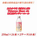 JAわかやま 生姜丸しぼり　Wakayama Ginger Ale　和歌山ジンジャーエール 250ml×24本×2ケース(48本入)