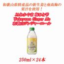 JAわかやま 梅ひと雫 Wakayama Ginger Ale 和歌山ジンジャーエール 250ml ×24本