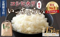 【令和6年産新米】【一等米】《定期便3回》いっちょらい 精米 5kg（計15kg）／ 福井県産 ブランド米 コシヒカリ ご飯 白米 新鮮 大賞 受賞 新米 福井県あわら産