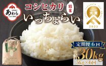 【令和6年産新米】【一等米】《定期便6回》いっちょらい 精米 5kg（計30kg）／ 福井県産 ブランド米 コシヒカリ ご飯 白米 新鮮 大賞 受賞 新米 福井県あわら産