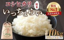 【令和6年産新米】【一等米】いっちょらい 精米 10kg×1袋 ／ 福井県産 ブランド米 コシヒカリ ご飯 白米 お米 コメ 新鮮 大賞 受賞 新米 福井県あわら産