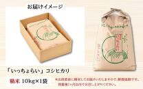 【令和6年産新米】【一等米】いっちょらい 精米 10kg×1袋 ／ 福井県産 ブランド米 コシヒカリ ご飯 白米 お米 コメ 新鮮 大賞 受賞 新米 福井県あわら産