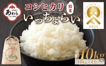 【令和6年産新米】【一等米】いっちょらい 精米 10kg×1袋 ／ 福井県産 ブランド米 コシヒカリ ご飯 白米 お米 コメ 新鮮 大賞 受賞 新米 福井県あわら産