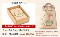 【令和6年産新米】【一等米】《定期便6回》いっちょらい 精米 10kg（計60kg） ／ 福井県産 ブランド米 コシヒカリ ご飯 白米 新鮮 大賞 受賞 新米 福井県あわら産