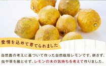 無農薬　新鮮レモン　2.5kg(18～25個程度）