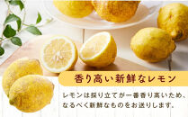 無農薬　新鮮レモン　2.5kg(18～25個程度）