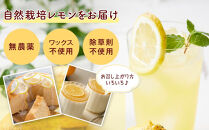 無農薬　新鮮レモン　2.5kg(18～25個程度）