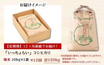 【令和6年産新米】【一等米】《定期便12回》いっちょらい 精米 10kg（計120kg） ／ 福井県産 ブランド米 コシヒカリ ご飯 白米 新鮮 大賞 受賞 新米 福井県あわら産