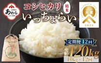 【令和6年産新米】【一等米】《定期便12回》いっちょらい 精米 10kg（計120kg） ／ 福井県産 ブランド米 コシヒカリ ご飯 白米 新鮮 大賞 受賞 新米 福井県あわら産