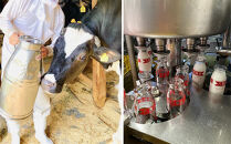 Yatsuo  牛乳・コーヒー セット 各5本 富山八尾のおいしいビン牛乳と珈琲 | 珈琲 飲料 乳飲料 ソフトドリンク コーヒー 牛乳 富山 八尾 懐かしい ミルクコーヒー 富山産 八尾牛乳 ふるさと納税 返礼品 地域限定 珈琲飲料 乳製品 ドリンクセット 富山八尾飲料 コーヒーセット コーヒー牛乳 珈琲牛乳 瓶 ビン 富山名物 人気 おすすめ 送料無料