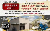 【数量限定】鹿児島県産うなぎ長蒲焼3尾　&nbsp;(合計300g以上)　鰻&nbsp;国産うなぎ蒲焼き&nbsp;たれ&nbsp;うな重&nbsp;ひつまぶし&nbsp;ウナギ&nbsp;蒲焼&nbsp;人気&nbsp;おすすめ&nbsp;ふるさと納税&nbsp;鹿児島県&nbsp;大崎町&nbsp;A911