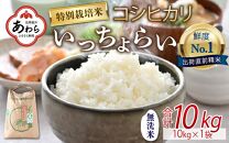 【令和6年産 新米】【一等米】特別栽培米いっちょらい 無洗米 10kg×1袋  ／ 福井県産 ブランド米 コシヒカリ ご飯 白米 新鮮 大賞 受賞