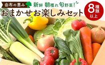 由布の恵み【新鮮 朝穫れ旬野菜！8種類以上！】おまかせお楽しみセット