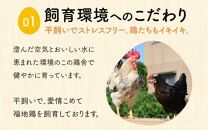 【12ヶ月連続お届け】福井ブランド「福地鶏」の卵 20個　濃厚で甘くておいしい！（10個入×2パック）定期便