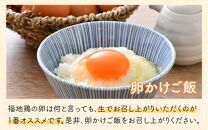 【12ヶ月連続お届け】福井ブランド「福地鶏」の卵 20個　濃厚で甘くておいしい！（10個入×2パック）定期便