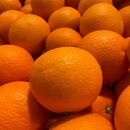 清見オレンジ１００％無添加ジュース720ml × 2本セット