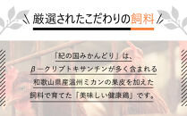 紀の国みかんどり　鶏水炊きセット