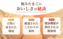 紀の国みかん極みたまご36個 卵 たまご 玉子 タマゴ 鶏卵  卵かけご飯 