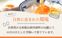 紀の国みかん極みたまご36個 卵 たまご 玉子 タマゴ 鶏卵  卵かけご飯 