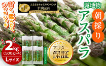 【2026年先行予約】朝採りアスパラ&nbsp;Lサイズ&nbsp;2kg（500g×4）鮮度保持パック入り&nbsp;旭川近郊産&nbsp;露地物(5月中旬発送開始予定)&nbsp;【&nbsp;アスパラ&nbsp;アスパラガス&nbsp;朝採り&nbsp;とれたて&nbsp;野菜&nbsp;旬&nbsp;小分け&nbsp;保存&nbsp;産直&nbsp;産地直送&nbsp;お取り寄せ&nbsp;旭川市&nbsp;北海道&nbsp;送料無料&nbsp;】_01591