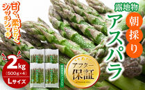 【2026年先行予約】朝採りアスパラ&nbsp;Lサイズ&nbsp;2kg（500g×4）鮮度保持パック入り&nbsp;旭川近郊産&nbsp;露地物(5月中旬発送開始予定)&nbsp;【&nbsp;アスパラ&nbsp;アスパラガス&nbsp;朝採り&nbsp;とれたて&nbsp;野菜&nbsp;旬&nbsp;小分け&nbsp;保存&nbsp;産直&nbsp;産地直送&nbsp;お取り寄せ&nbsp;旭川市&nbsp;北海道&nbsp;送料無料&nbsp;】_01591