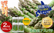 【2027年先行予約】朝採りアスパラ&nbsp;Lサイズ&nbsp;2kg（500g×4）鮮度保持パック入り&nbsp;旭川近郊産&nbsp;露地物（5月中旬発送開始予定）【&nbsp;アスパラ&nbsp;アスパラガス&nbsp;朝採り&nbsp;とれたて&nbsp;野菜&nbsp;旬&nbsp;小分け&nbsp;保存&nbsp;産直&nbsp;産地直送&nbsp;お取り寄せ&nbsp;旭川市&nbsp;北海道&nbsp;送料無料&nbsp;】_01591