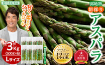 【2026年先行予約】朝採りアスパラ Lサイズ 3kg（500g×6）鮮度保持パック入り 旭川近郊産 露地物(5月中旬発送開始予定) 【 アスパラ アスパラガス 朝採り とれたて 野菜 旬 小分け 保存 産直 産地直送 お取り寄せ 旭川市 北海道 】_01592