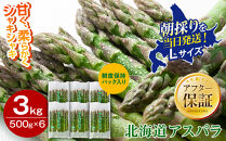 【2027年先行予約】朝採りアスパラ&nbsp;Lサイズ&nbsp;3kg（500g×6）鮮度保持パック入り&nbsp;旭川近郊産&nbsp;露地物（5月中旬発送開始予定）【&nbsp;アスパラ&nbsp;アスパラガス&nbsp;朝採り&nbsp;とれたて&nbsp;野菜&nbsp;旬&nbsp;小分け&nbsp;保存&nbsp;産直&nbsp;産地直送&nbsp;お取り寄せ&nbsp;旭川市&nbsp;北海道&nbsp;】_01592