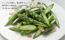 【2025年発送先行予約】【訳あり】露地物朝採りアスパラ 1.5kg（500g×3）鮮度保持フィルム入り(2025年5月中旬発送予定) 【 アスパラ アスパラガス 朝採り とれたて 野菜 旬 小分け 保存 産直 産地直送 お取り寄せ 旭川市 北海道 送料無料 】_01589