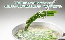 【2025年発送先行予約】【訳あり】露地物朝採りアスパラ 1.5kg（500g×3）鮮度保持フィルム入り(2025年5月中旬発送予定) 【 アスパラ アスパラガス 朝採り とれたて 野菜 旬 小分け 保存 産直 産地直送 お取り寄せ 旭川市 北海道 送料無料 】_01589