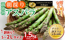 ◆2026年先行予約◆【訳あり】露地物朝採りアスパラ&nbsp;1.5kg（500g×3）鮮度保持フィルム入り(5月中旬発送開始予定)&nbsp;【&nbsp;アスパラ&nbsp;アスパラガス&nbsp;朝採り&nbsp;とれたて&nbsp;野菜&nbsp;旬&nbsp;小分け&nbsp;保存&nbsp;産直&nbsp;産地直送&nbsp;お取り寄せ&nbsp;旭川市&nbsp;北海道&nbsp;】_01589