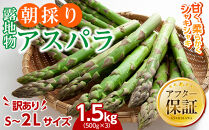 ◆2026年先行予約◆【訳あり】露地物朝採りアスパラ&nbsp;1.5kg（500g×3）鮮度保持フィルム入り(5月中旬発送開始予定)&nbsp;【&nbsp;アスパラ&nbsp;アスパラガス&nbsp;朝採り&nbsp;とれたて&nbsp;野菜&nbsp;旬&nbsp;小分け&nbsp;保存&nbsp;産直&nbsp;産地直送&nbsp;お取り寄せ&nbsp;旭川市&nbsp;北海道&nbsp;】_01589