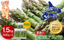 【2027年先行予約】【訳あり】露地物朝採りアスパラ&nbsp;1.5kg（500g×3）鮮度保持フィルム入り（5月中旬発送開始予定）【&nbsp;アスパラ&nbsp;アスパラガス&nbsp;朝採り&nbsp;とれたて&nbsp;野菜&nbsp;旬&nbsp;小分け&nbsp;保存&nbsp;産直&nbsp;産地直送&nbsp;お取り寄せ&nbsp;旭川市&nbsp;北海道&nbsp;】_01589