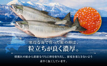 【26年10月発送先行予約】無添加&nbsp;職人仕込み&nbsp;イクラ&nbsp;200g&nbsp;(100g×2)&nbsp;【いくら&nbsp;醤油漬け&nbsp;いくら醤油漬&nbsp;小分け&nbsp;無添加&nbsp;冷凍&nbsp;魚卵&nbsp;お取り寄せ&nbsp;人気&nbsp;鮭いくら&nbsp;旭川市&nbsp;北海道ふるさと納税&nbsp;北海道】&nbsp;_01595