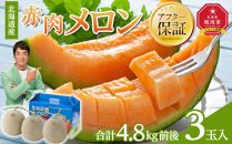 2024年10月北海道 で収穫した 松の実20kg 2024年10月北海道 で収穫した 松の実20kg 2024年10月