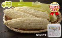 【26年5月発送開始】かに太郎&nbsp;定期便Fセット（アスパラ、赤肉メロン、白くまコーン、厚切りラム肉）全4回&nbsp;_01601