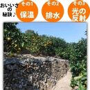 【有田川町】みかん はっさく 八朔 1500g 訳あり  ブランド 和歌山 有田みかん ありだみかん