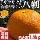 【有田川町】みかん はっさく 八朔 1500g 訳あり  ブランド 和歌山 有田みかん ありだみかん