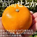 【有田川町】みかん　せとか 2kg 訳あり　ブランド 和歌山 有田みかん ありだみかん 農家直送 オレンジ フルーツ 果物