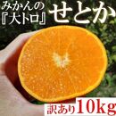 【有田川町】みかん　せとか １０kg 訳あり ブランド 和歌山 有田みかん ありだみかん 農家直送 オレンジ フルーツ 果物