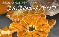 ドライフルーツ みかんチップ 100g ( 20g × 5袋 ) 和歌山県産 果物使用 自社製造 【みかんの会】