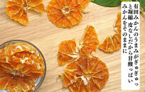 ドライフルーツ&nbsp;みかんチップ&nbsp;100g&nbsp;(&nbsp;20g&nbsp;×&nbsp;5袋&nbsp;)&nbsp;和歌山県産&nbsp;果物使用&nbsp;自社製造&nbsp;【みかんの会】