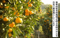 ドライフルーツ&nbsp;みかんチップ&nbsp;100g&nbsp;(&nbsp;20g&nbsp;×&nbsp;5袋&nbsp;)&nbsp;和歌山県産&nbsp;果物使用&nbsp;自社製造&nbsp;【みかんの会】